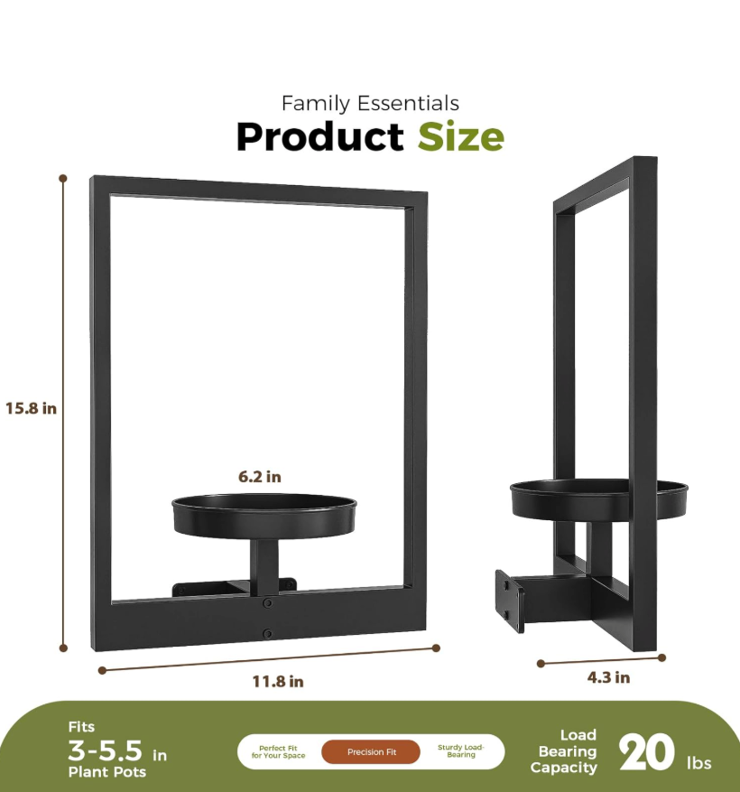 The Framed Flora Wall Display Set