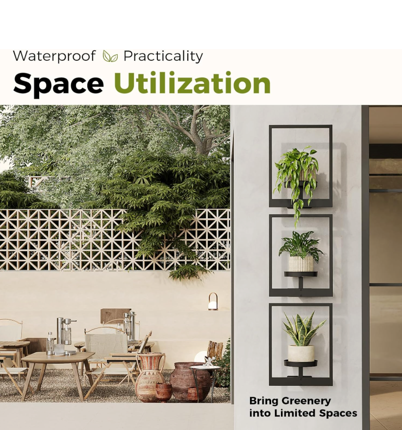 The Framed Flora Wall Display Set