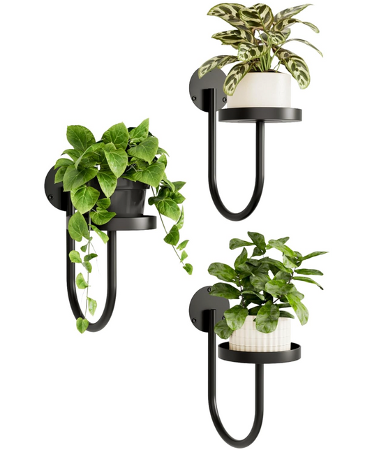 The Arcadia Loop Wall Planters — Set of Three