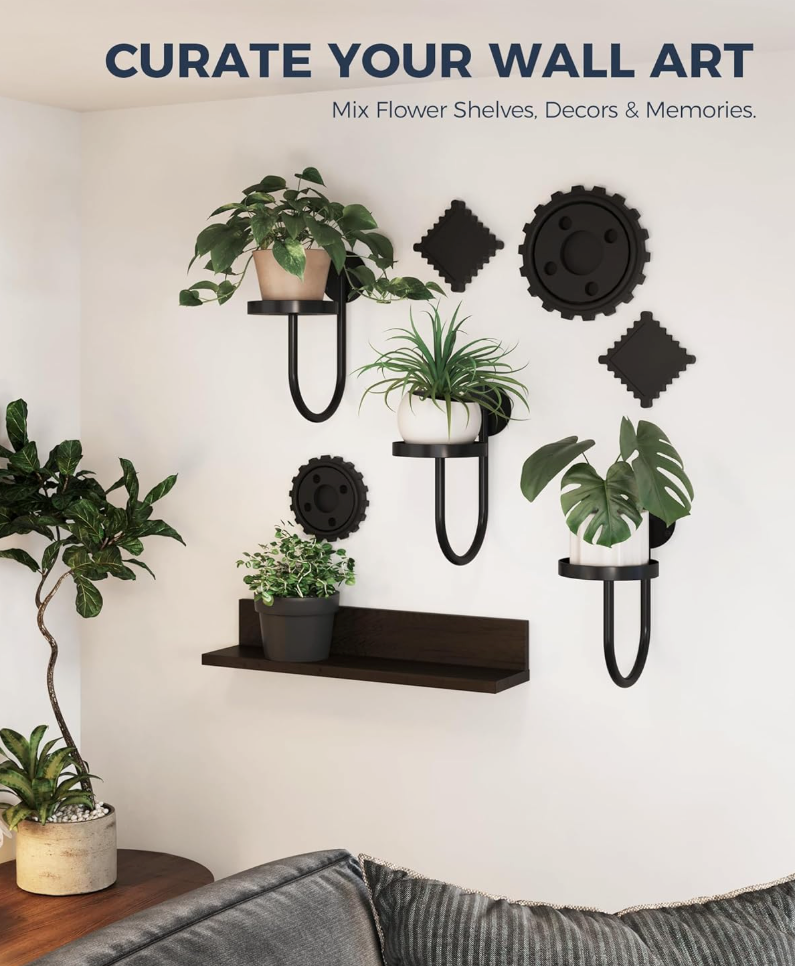 The Arcadia Loop Wall Planters — Set of Three