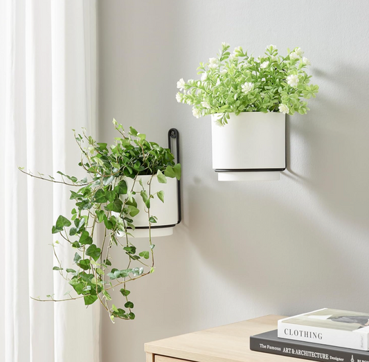 The Halo Edge Wall Planter Set
