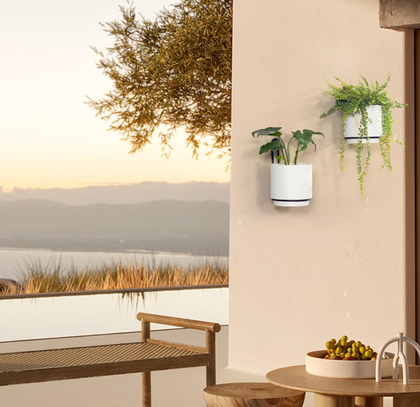 The Halo Edge Wall Planter Set
