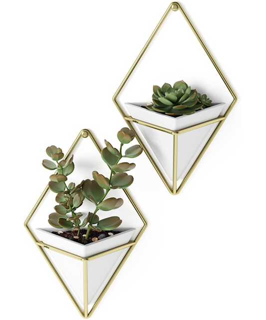 The Prism Vessel Wall Planters — Set of Two