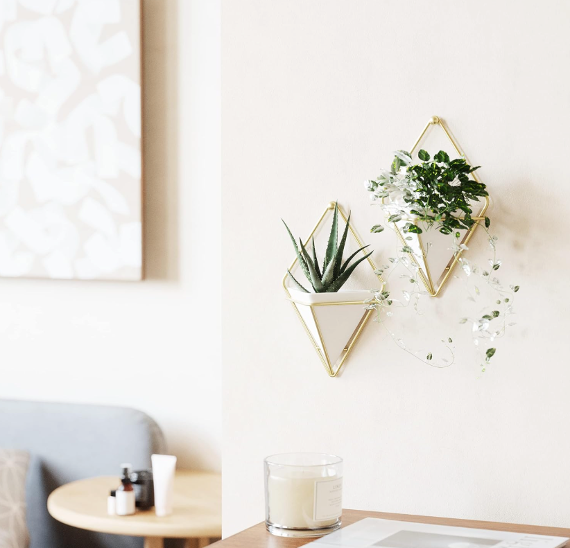 The Prism Vessel Wall Planters — Set of Two