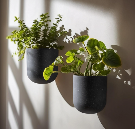 The Luna Capsule Wall Planters — Set of Two
