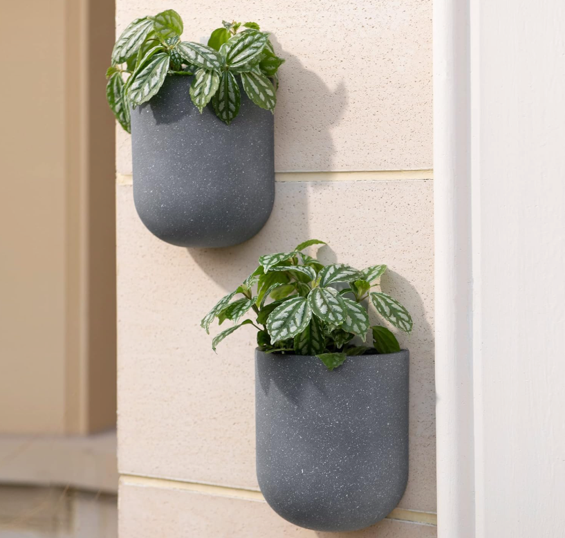 The Luna Capsule Wall Planters — Set of Two