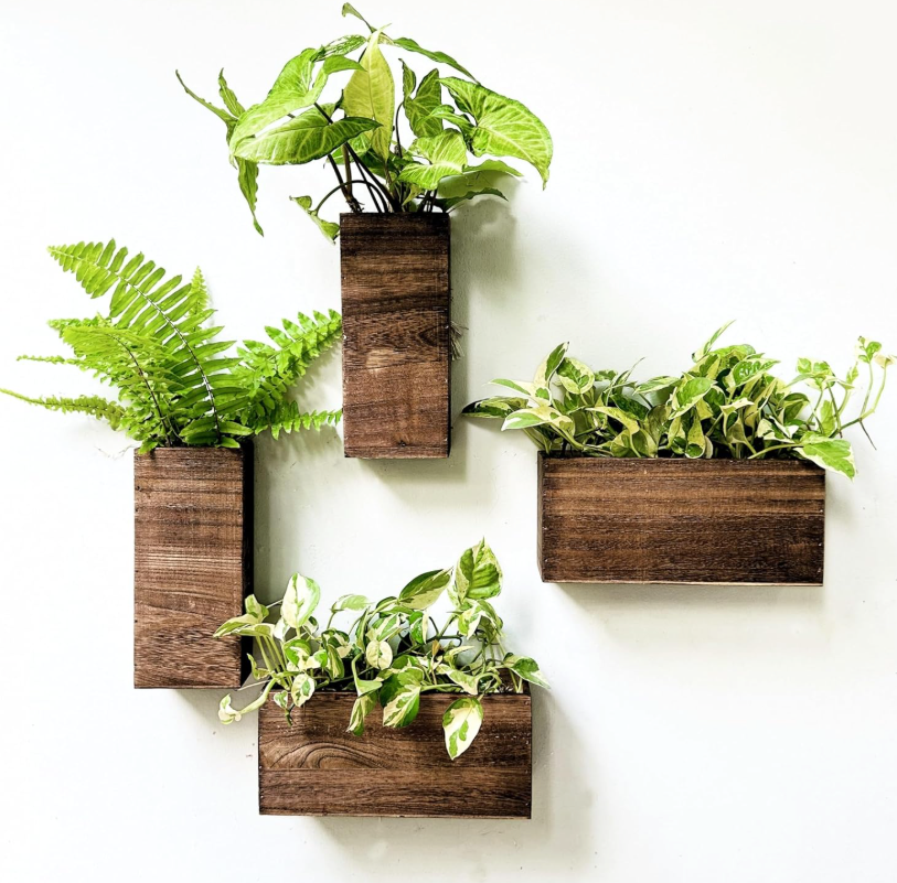 The Terra Ledger Wall Planter Set