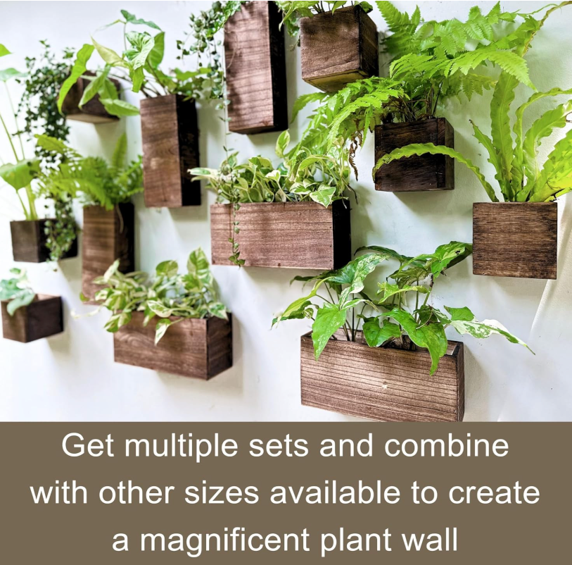 The Terra Ledger Wall Planter Set