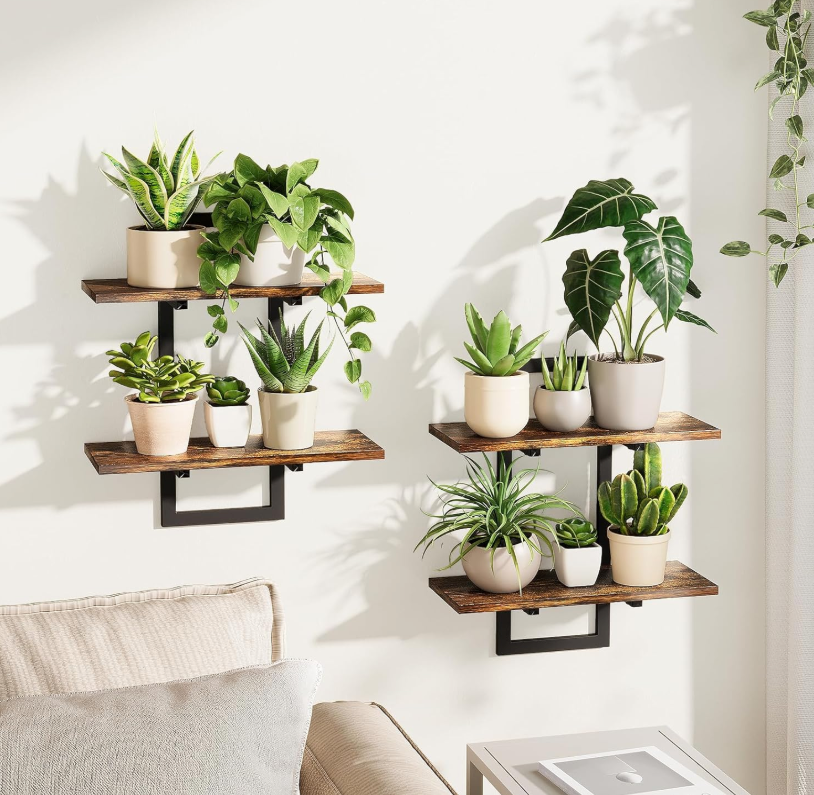 The Canopy Tier Wall Shelf Set