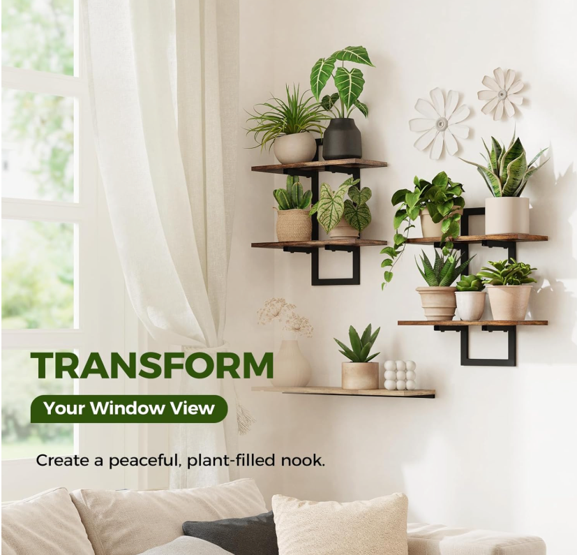 The Canopy Tier Wall Shelf Set