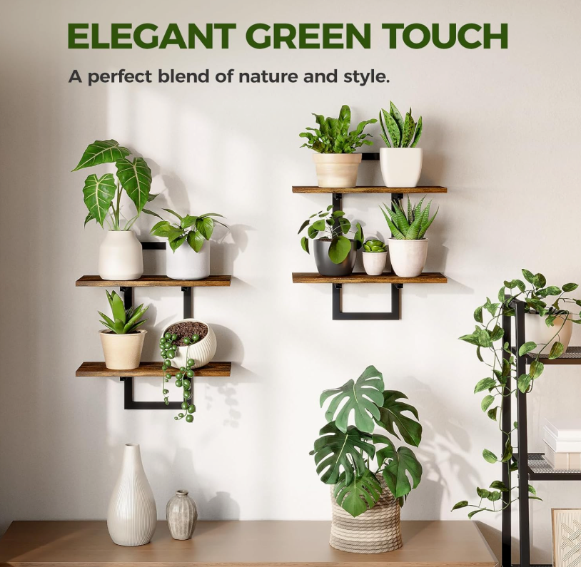 The Canopy Tier Wall Shelf Set