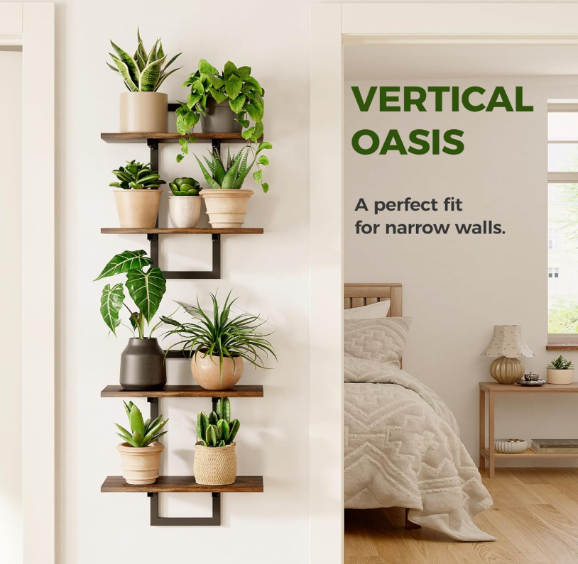 The Canopy Tier Wall Shelf Set