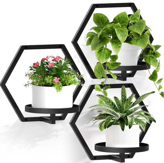 hexagon hanging planter The HexaNest Wall Planter Set – Leafy Ladder