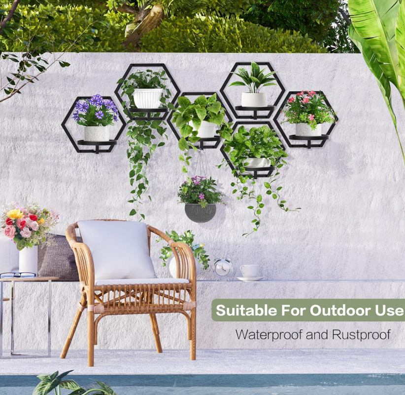 The HexaNest Wall Planter Set