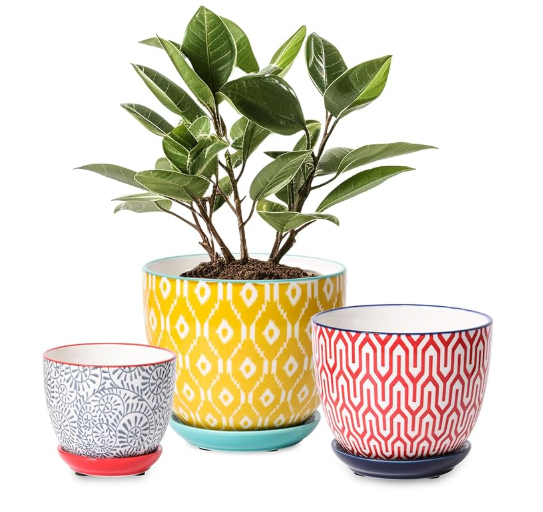 The Jubilee Mosaic Planter Trio