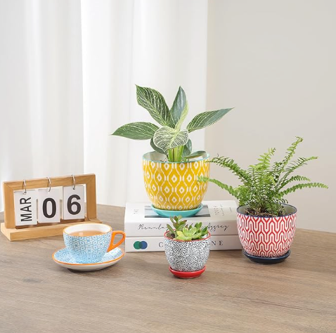 The Jubilee Mosaic Planter Trio