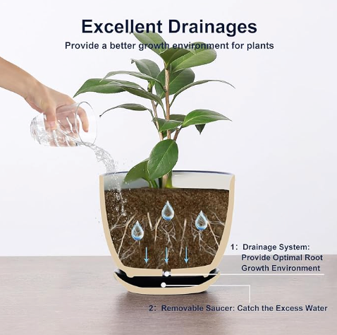 The Jubilee Mosaic Planter Trio