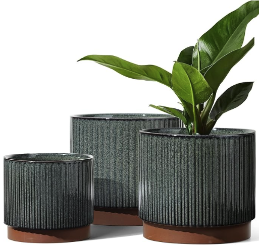 The Meridian Grove Planter Set