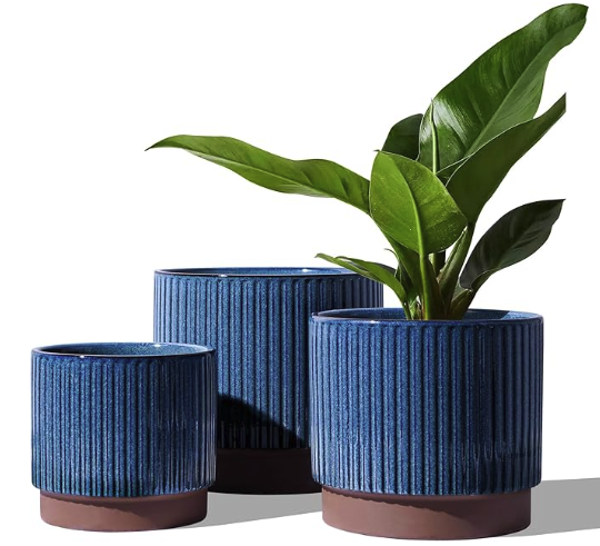 The Meridian Grove Planter Set