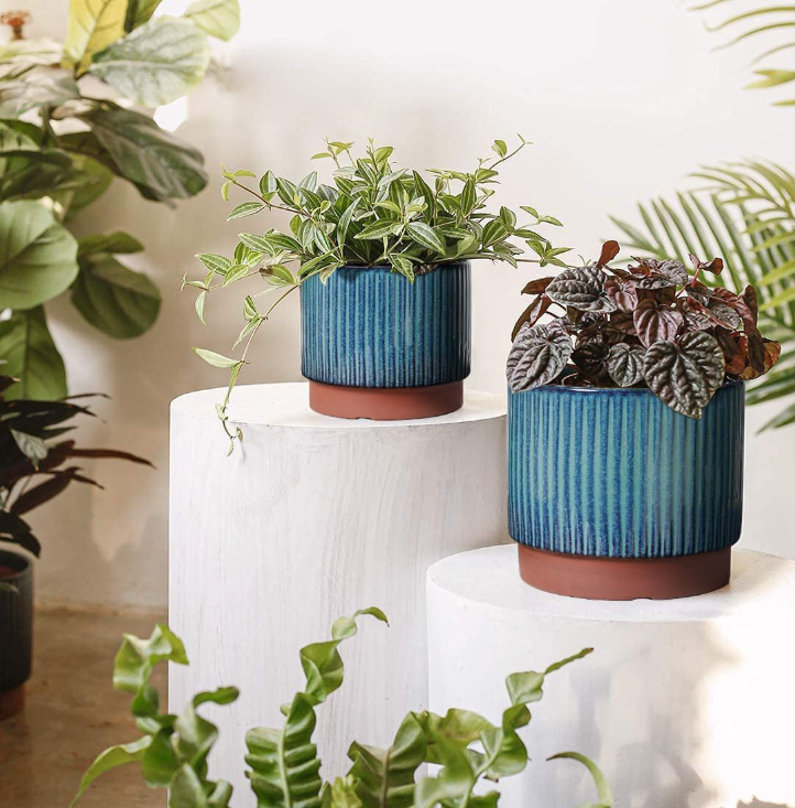 The Meridian Grove Planter Set