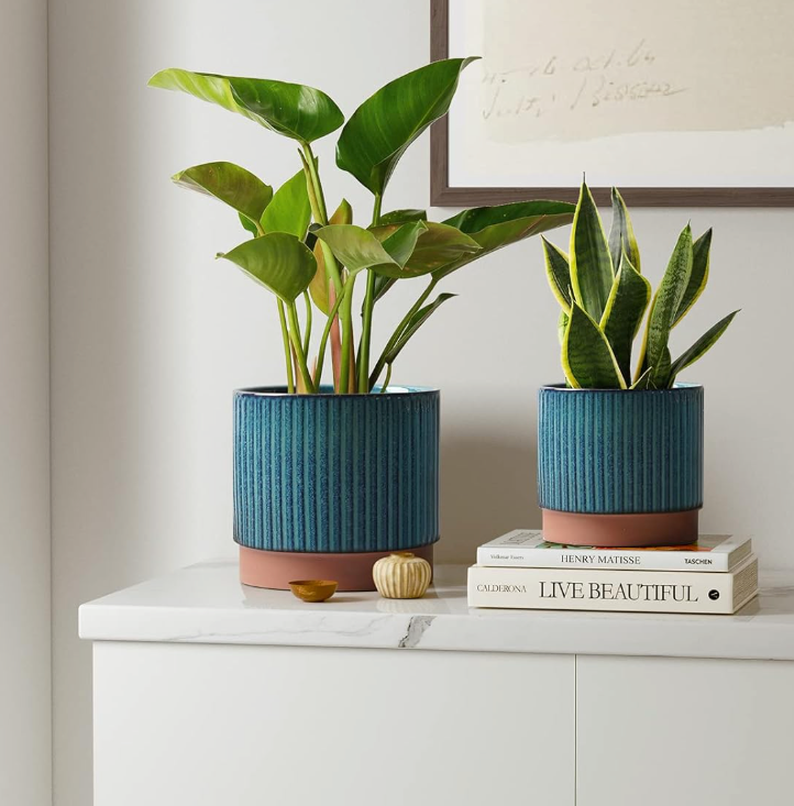 The Meridian Grove Planter Set