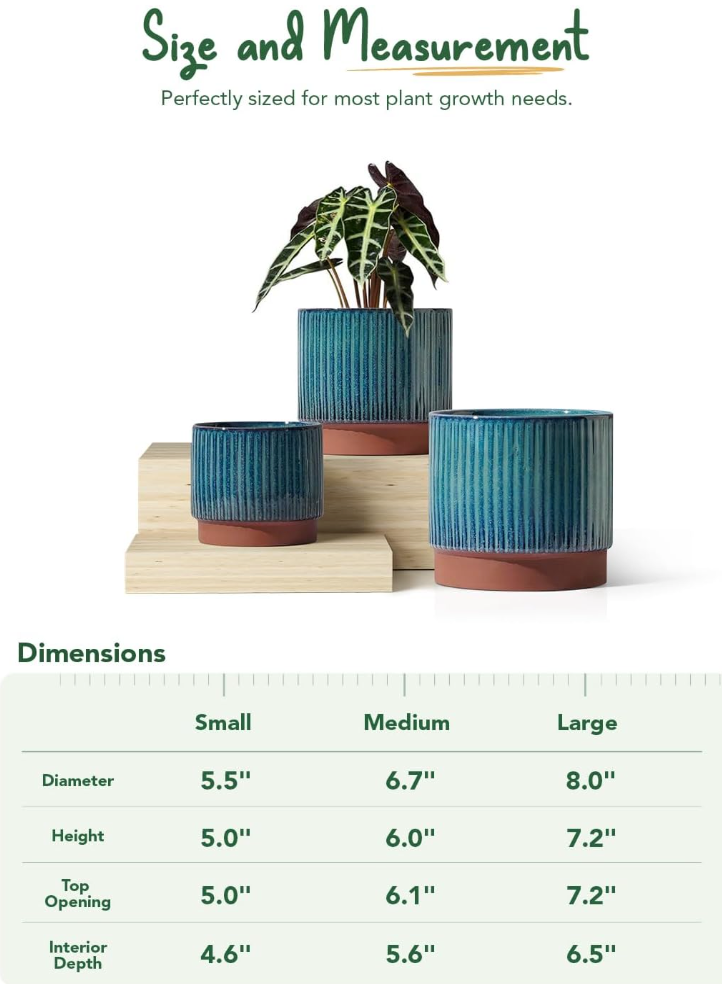 The Meridian Grove Planter Set