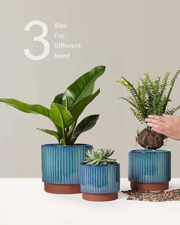 The Meridian Grove Planter Set