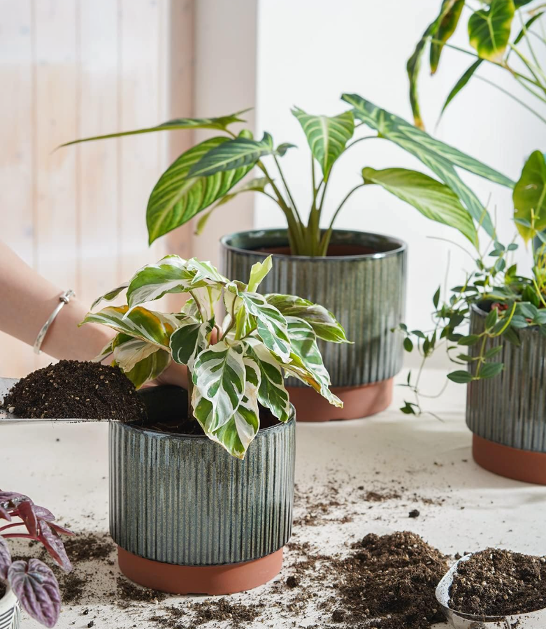 The Meridian Grove Planter Set