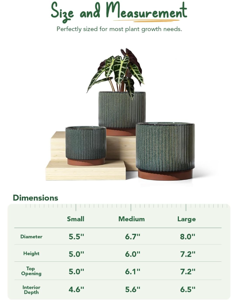 The Meridian Grove Planter Set