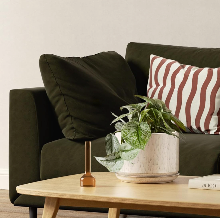 The Aura Birch Planter Set