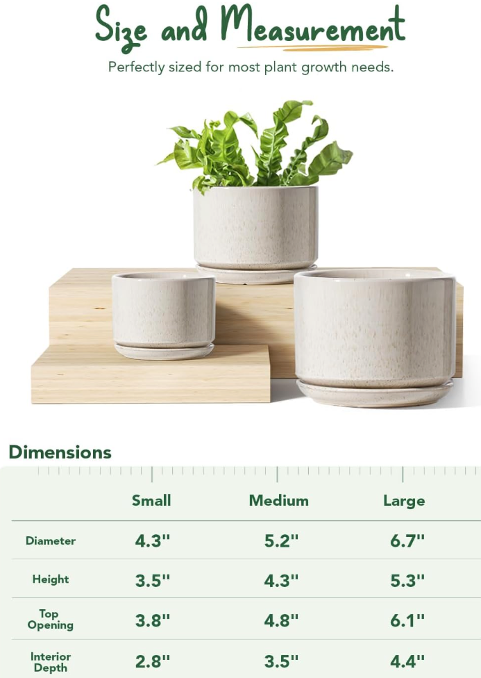 The Aura Birch Planter Set