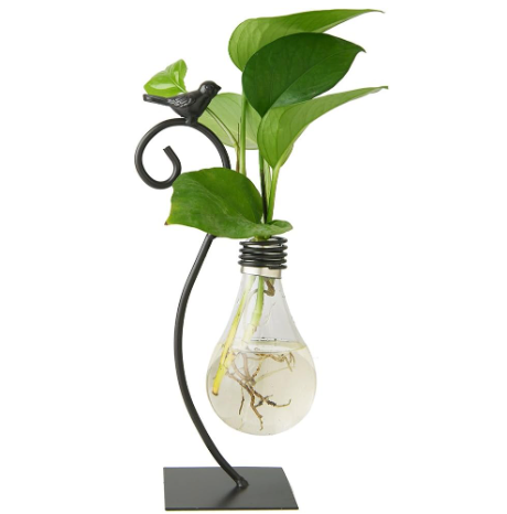 Birdsong Bulb Propagation Stand