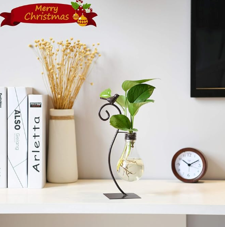 Birdsong Bulb Propagation Stand