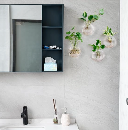 Glass Wall Propagation Bowl Set