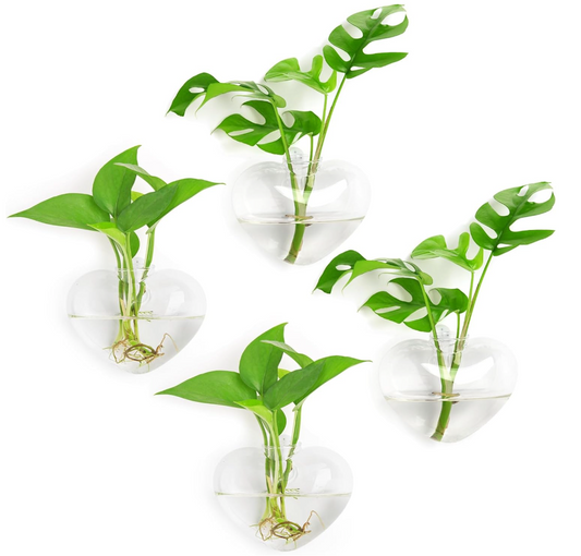 The Heartleaf Wall Vase Set