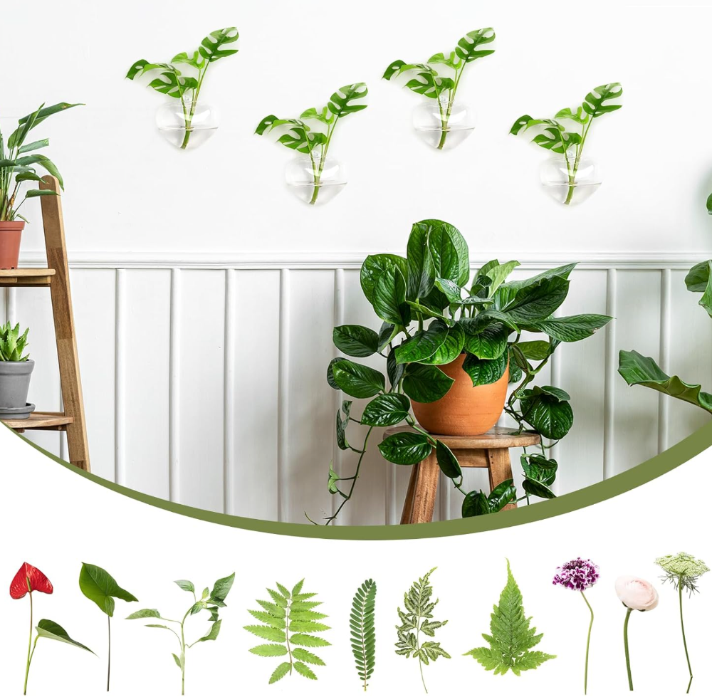 The Heartleaf Wall Vase Set