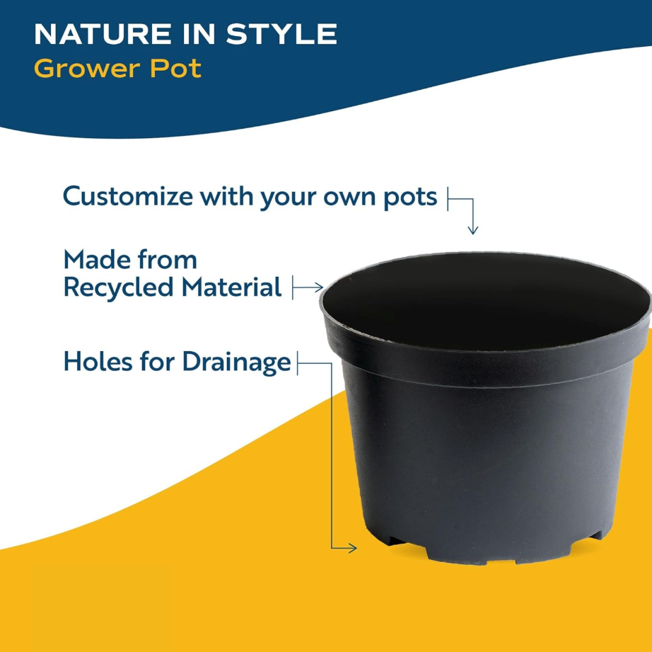 Leafy Ladder Welcome Home Plant Bundle (8-10 inches Tall)