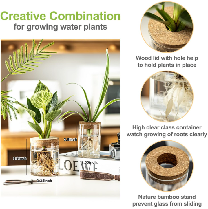The Rooted Clarity Propagation Jar Set (Set of 4)