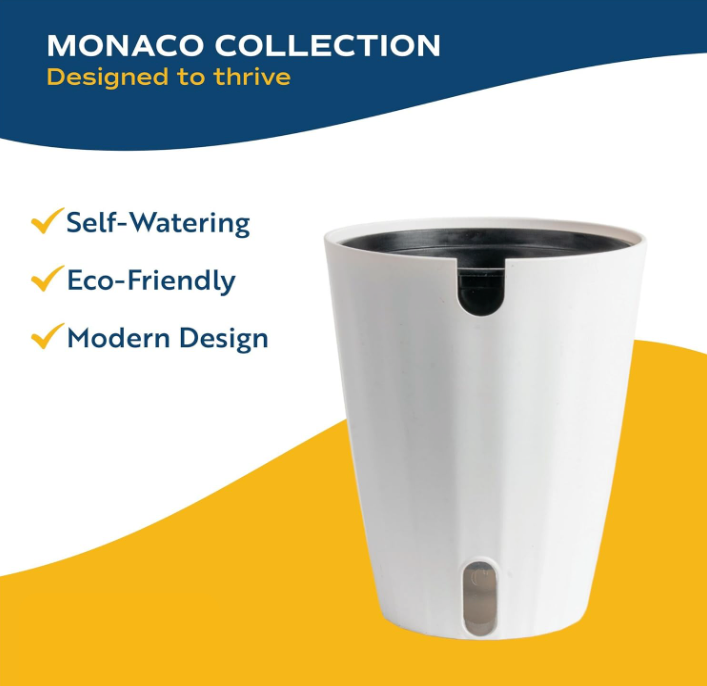 The Tranquil Palm Parlor