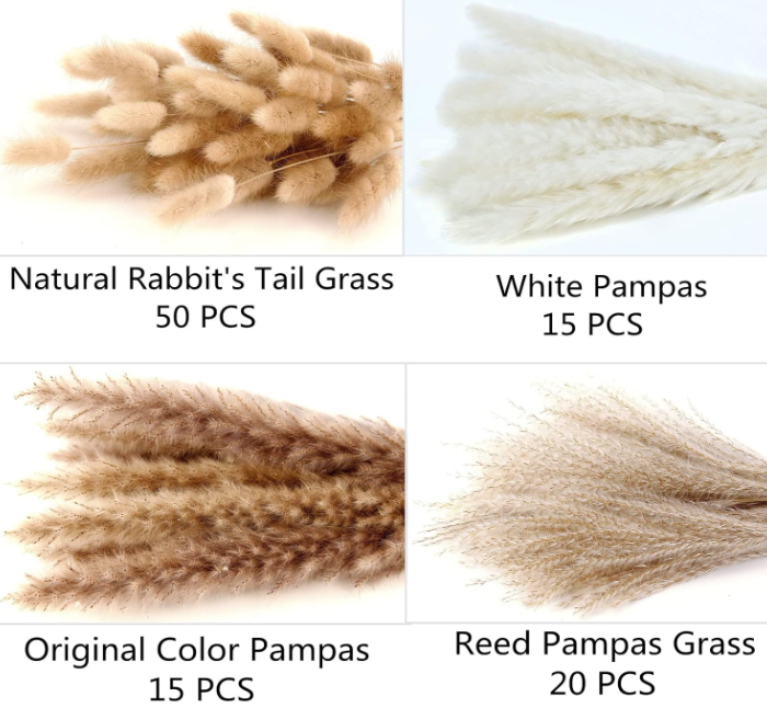 The Wild Meadow Dried Bouquet Set