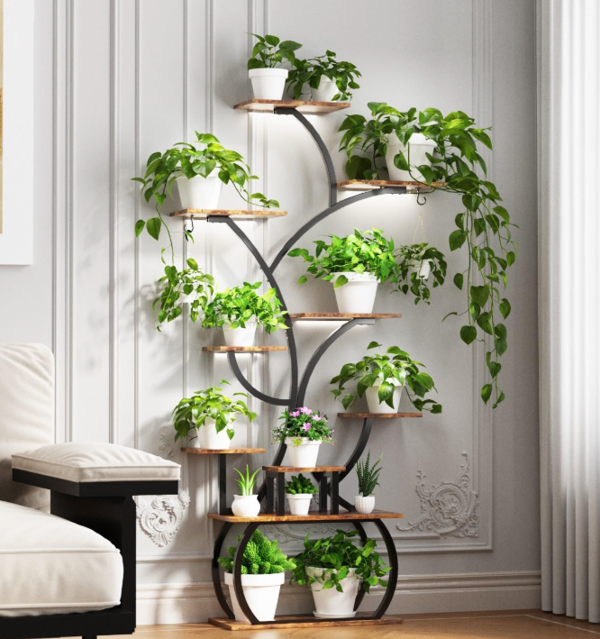 The Solara Vertical Bloom