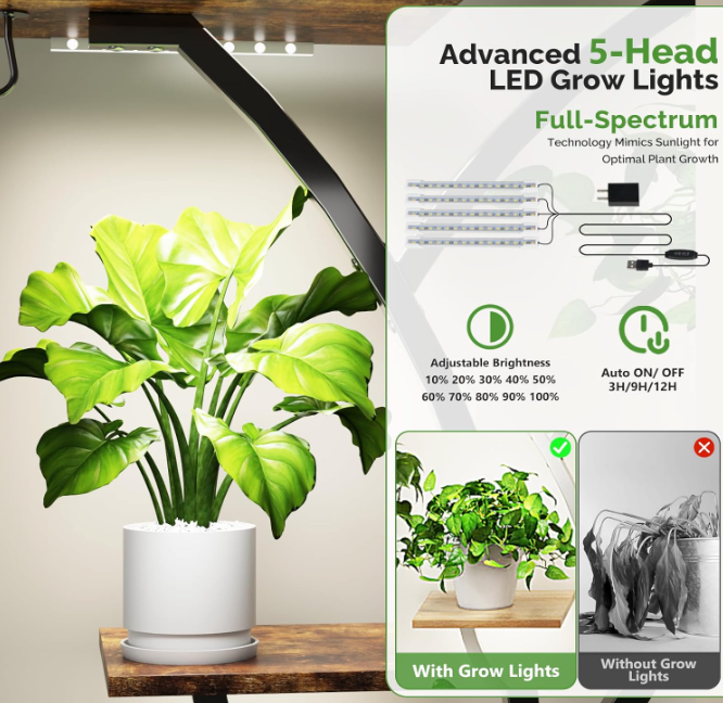 The Solara Vertical Bloom