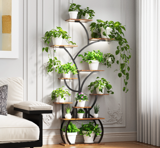 The Solara Vertical Bloom