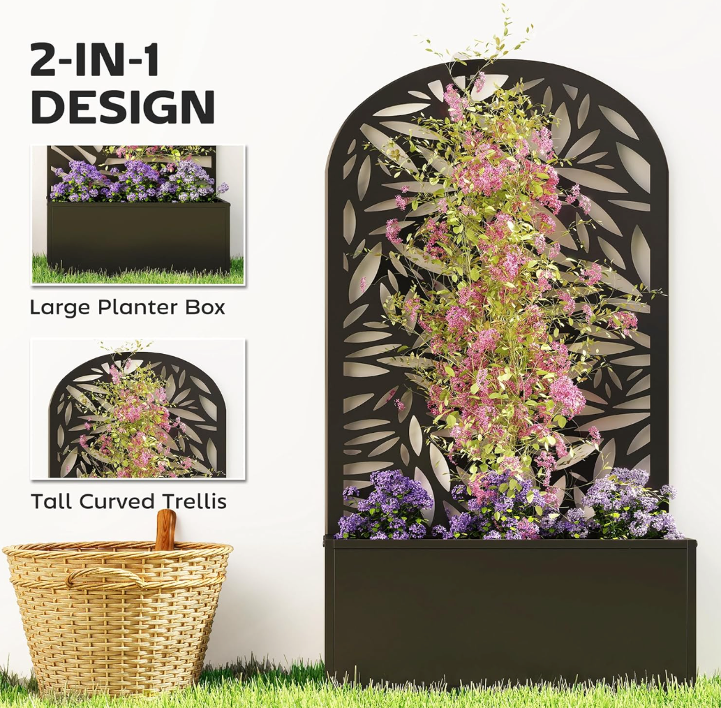 The Aurelia Privacy Screen