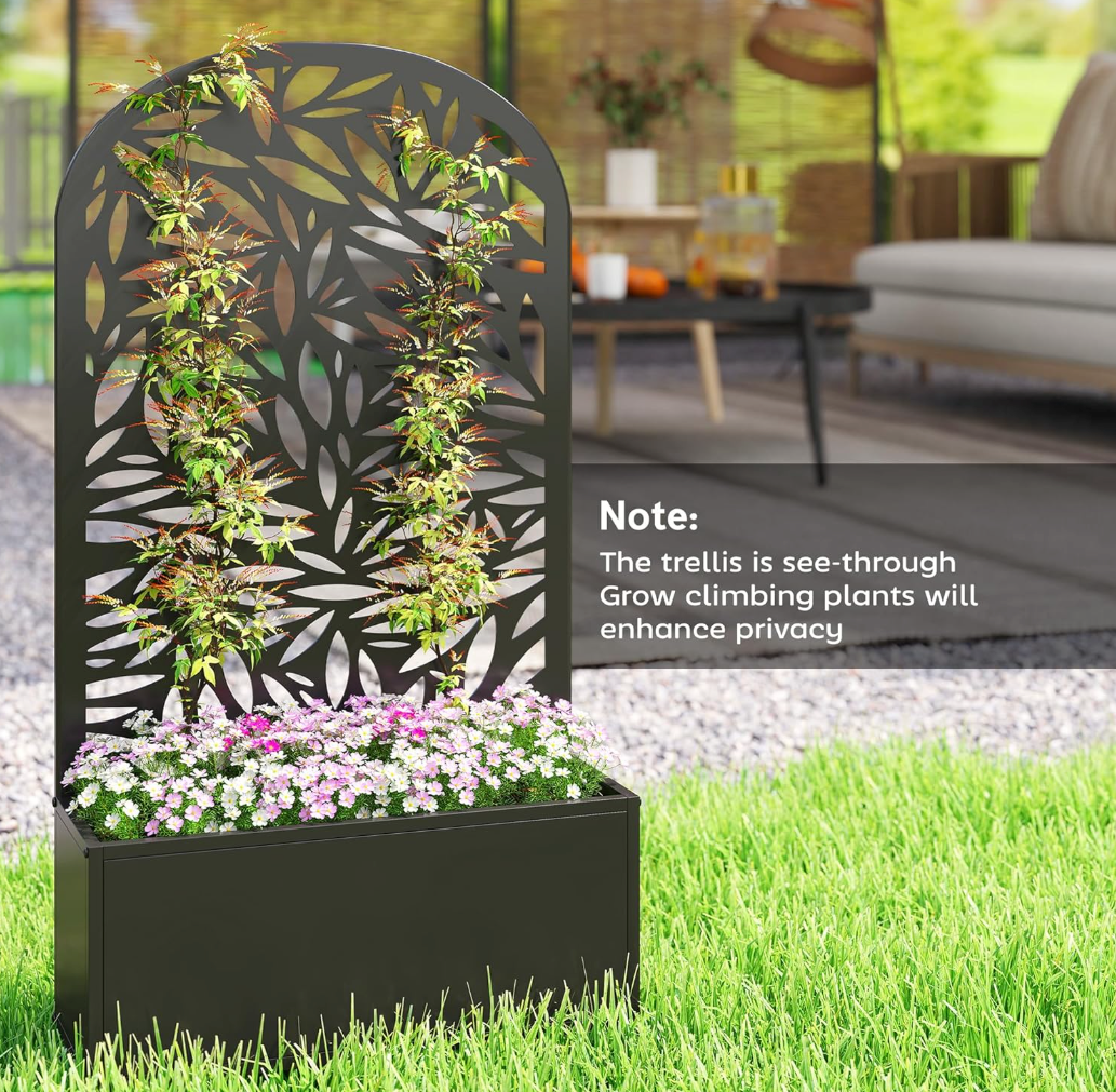 The Aurelia Privacy Screen