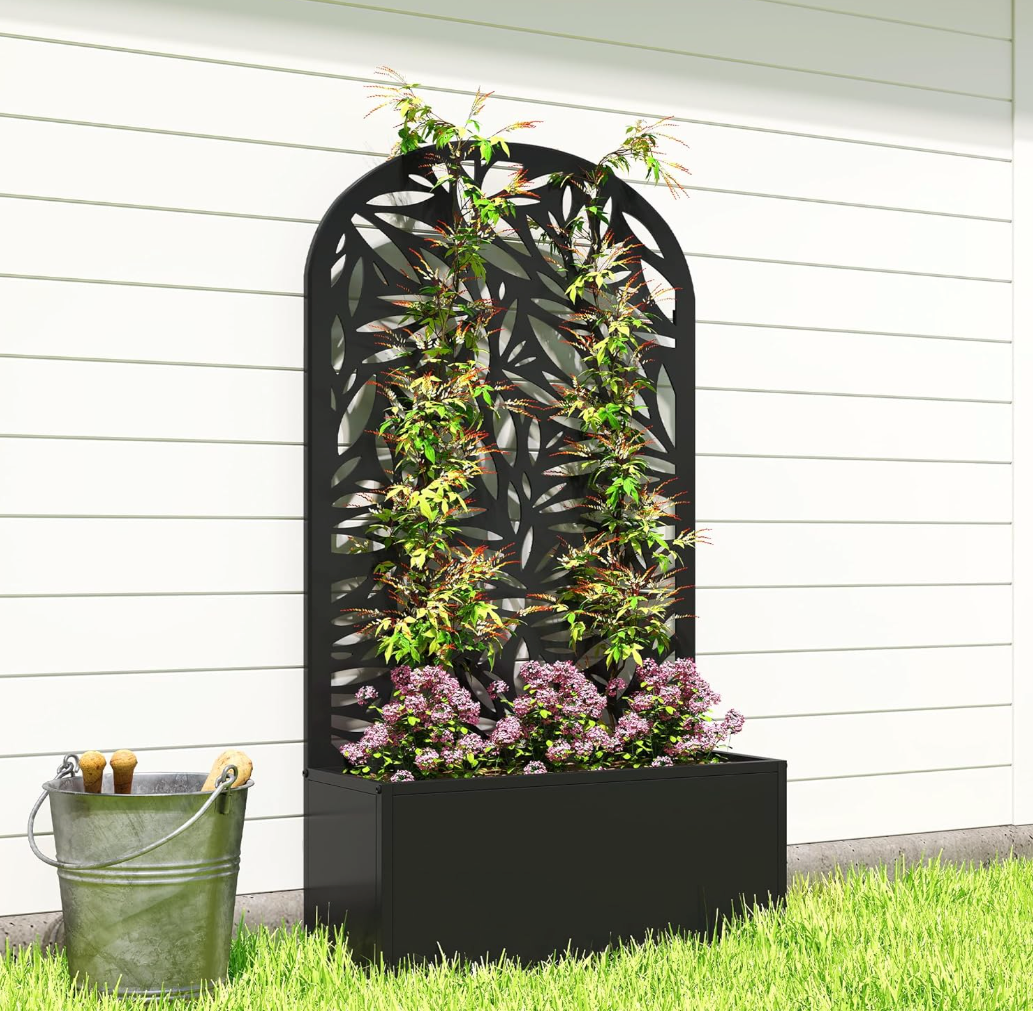 The Aurelia Privacy Screen