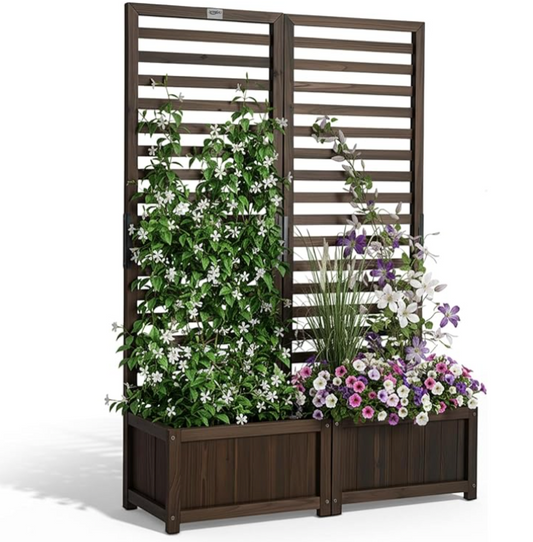 The Cedar-Lane Trellis Duo (Set of 2)