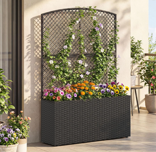 The Estate Wicker Trellis Basin