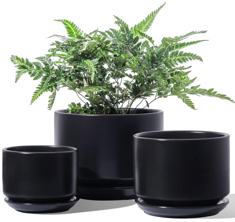 The Aura Birch Planter Set
