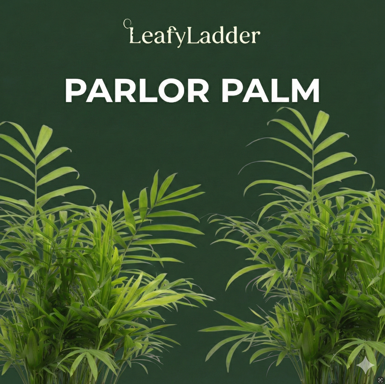 The Tranquil Palm Parlor